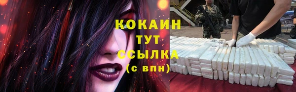сатива Богородск