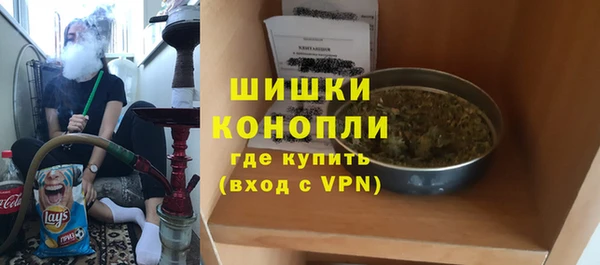 сатива Богородск