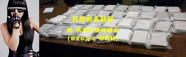 сатива Богородск