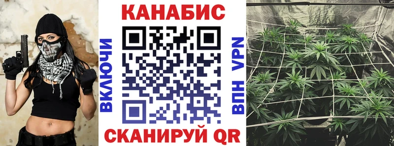 как найти закладки kraken сайт Шишки марихуана сатива Новоульяновск